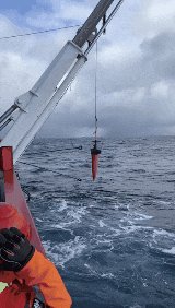 SCALExperiment photo