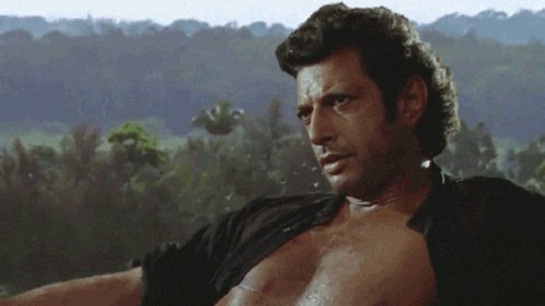 Happy birthday, Jeff Goldblum. Thank you for being you. 