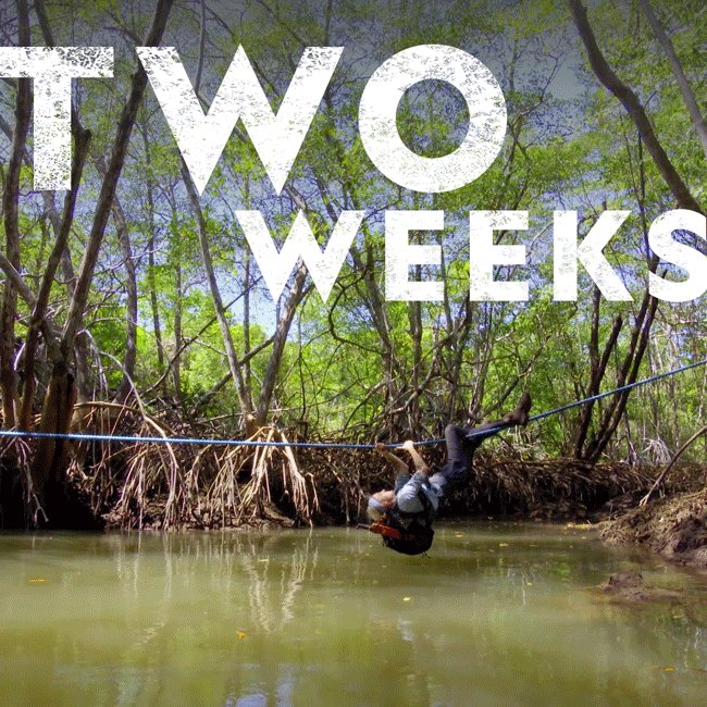 HERE WE GO! @NatGeoChannel @NaturalStudios_ RUNNING WILD WITH.... @Caradelevingne @brielarson @armiehammer @mrBobbyBones Channing Tatum @DaveBautista @joelmchale @ZacharyQuinto @RobRiggle @AlexHonnold