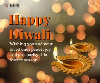 nerl_repository photo