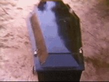 #SelvaDePedraNoVIVAJá juntaram as mãos de Tide. Só falta agora algodão no nariz e o paletó de madeira