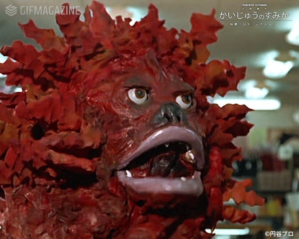 تويتر 円谷プロダクション على تويتر かいじゅうのすみか で大活躍 ムクムクやピグモンをはじめとする怪獣たちのかわいいgifを公開中 T Co Bzx7shpaf1 T Co Hzdliebn45