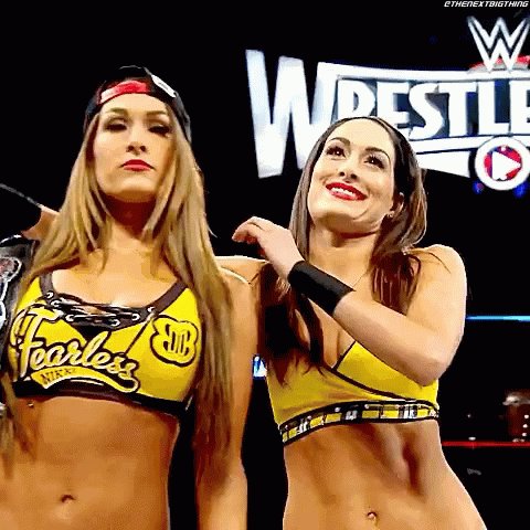 Happy Birthday to the Bella Twins, who turn 36 years old today 