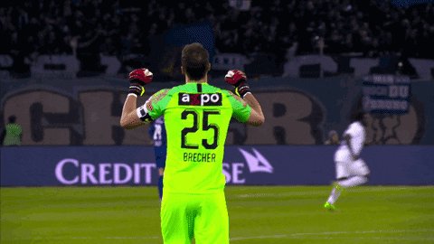 FC Zürich @fc_zuerich
