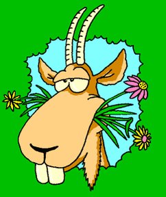 #GoatOfTheDayA septuagenarian man was banished from his Nnewi, Anambra state, community yesterday for impregnating his 20 year-old, mentally impaired daughter 3 times.#morningdrivelagos #GOTD #WednesdayThoughts @nanyaoriginal @Lerinnic @djknightNG