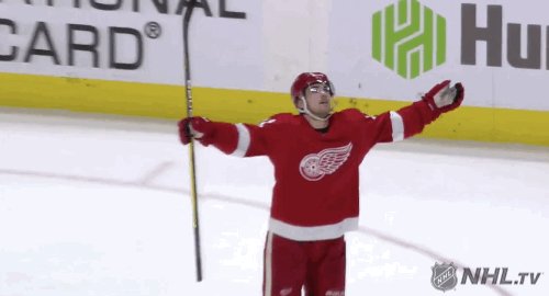 Detroit Red Wings @DetroitRedWings