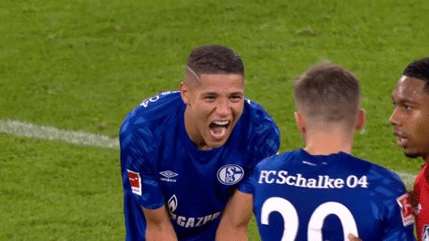 FC Schalke 04 @s04