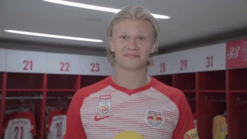 Эрлинг Холланд прическа