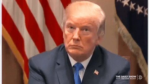 Angry_Wink (@hammerac) on Twitter photo 08/01/2020 01:07:32 @gtconway3d @BassRck4 @realDonaldTrump Duh. @gtconway3d @BassRck4 @realDonaldTrump Duh.