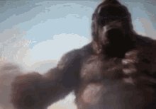 MONKEYPROJECT_ photo