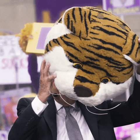 @LSUfootball's photo on Corso