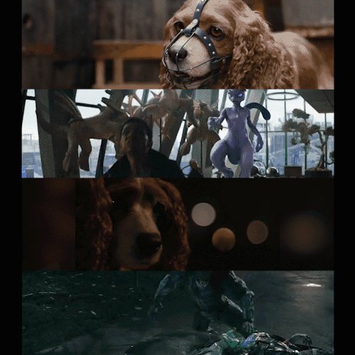 Late for #PortfolioDay because I didn't have my computer for a few days. I had fun seeing my friends posting their work, so here's a small snapshot of a few of my animations!
#animation #DetectivePikachu #Ladyandthetramp #thepredator
*black and white Tramp shot for continuity