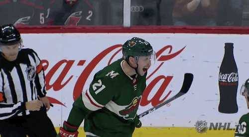Minnesota Wild @mnwild
