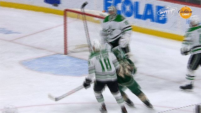 Minnesota Wild @mnwild