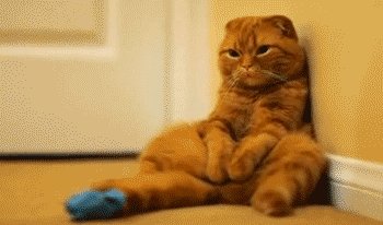 Noooooo! I got knocked out of the top 10 in the ManyVids Star of the Year category 😭😭😭😭  I was so close<a href="/tag/impressionism"class="tags"><span>#impressionism</span></a><a href="/tag/occult"class="tags"><span>#occult</span></a><a href="/tag/surrealism"class="tags"><span>#surrealism</span></a><a href="/tag/lovecraftart"class="tags"><span>#lovecraftart</span></a>