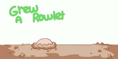 Kumi Doitanka 娘によるとrowletというのがモクローの英語名らしいです ぬくぬくして ゆっくり寝て 復活してくださいね Twitter