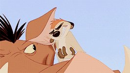 Happy birthday, Nathan Lane A.K.A. Timon the meerkat from \"The Lion King\" 