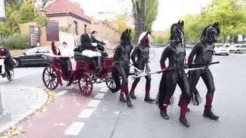I want this form of transport ! https://t.co/0u8Cp6UC1N