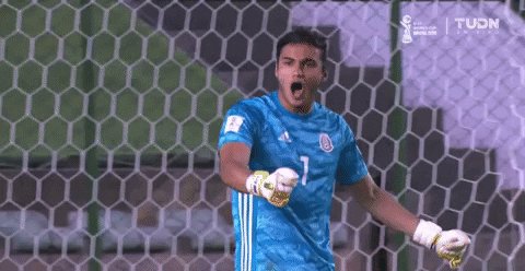 Selección Nacional @miseleccionmx