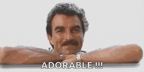 Happy birthday tom selleck, still a fox at 75 