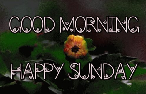 Thank you kindly, @ionacrv for the mention. Happy Sunday, everyone!
