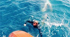 #Jaws. This scene, close your eyes and it is still there. pic.twitter.com/GSGxqlAYCs