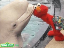 This is my new favorite GIF