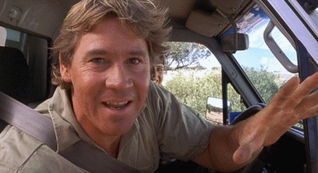 Happy birthday to steve irwin 