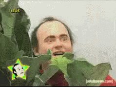 Lake Tribe Brewing (@LakeTribeBrew) on Twitter photo 25/02/2020 21:56:17 @DannyAller Live look at #TeaBeerTerry at 2:59pm on Saturday @DannyAller Live look at #TeaBeerTerry at 2:59pm on Saturday
