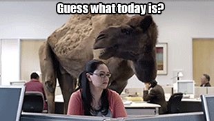 Ainsley FM (@crazyteachergo) on Twitter photo 27/02/2020 03:00:27 Thanks @RMartielloNPSD for an awesome chat about PD! Have a great rest of your week y’all. #3rdchat Thanks @RMartielloNPSD for an awesome chat about PD! Have a great rest of your week y’all. #3rdchat
