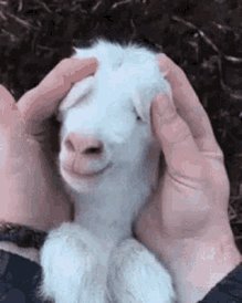 Bonjour... https://t.co/9jhNHK3rH3