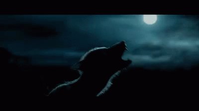 #Fullmoon is in 2 days but I definitely feel it's effects on me already. I can always tell when a #shitstorm<a href="/tag/fullmoon"class="tags">#Fullmoon</a><a href="/tag/werewolf"class="tags"><span>#werewolf</span></a><a href="/tag/saturdaymorning"class="tags"><span>#saturdaymorning</span></a><a href="/tag/daylightsavings"class="tags"><span>#daylightsavings</span></a><a href="/tag/shitstorm"class="tags"><span>#shitstorm</span></a>