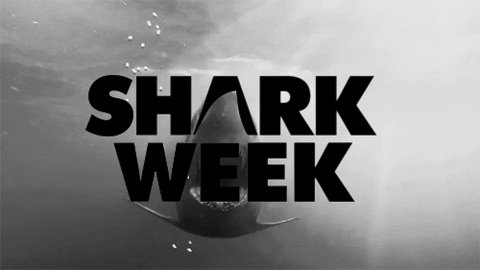 So... @Discovery since we are stuck at home can you repeat #sharkweek ... asking for me https://t.co<a class="tags" target="_blank" title="On Twitter" href="/?out=eyJ0eXAiOiJKV1QiLCJhbGciOiJIUzUxMiJ9.eyJpYXQiOjE3MjA3NjU2MzMsImlzcyI6InR3cG9ybnN0YXJzLmNvbSIsIm5iZiI6MTcyMDc2NTYzMywiZXhwIjoxNzUyMzAxNjMzLCJyZWRpcmVjdF91cmwiOiJodHRwczovL3R3aXR0ZXIuY29tL0Rpc2NvdmVyeSJ9.KwMvdhIGs1lXwGSUu5O-4vF9a9qpqxo_AkuRwvwvjVCS9vb0ykbKM5vBT9gOYnWB6I1Q_sqhBO4E59Qf15_8DQ">@Discovery</a><a href="/tag/sharkweek"class="tags"><span>#sharkweek</span></a>