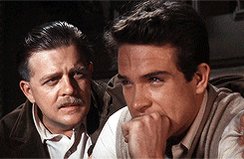 Happy 83rd birthday to Warren Beatty   