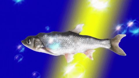 Happy Birthday   Rachel hope you always catch the big one. 