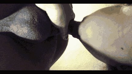 Puedes comentarnos que te gustar&iacute;a que hici&eacute;ramos en Futuros videos? #Latina #swinger #couple #parejasliberales<a href="/tag/latina"class="tags"><span>#latina</span></a><a href="/tag/couple"class="tags"><span>#couple</span></a><a href="/tag/swinger"class="tags"><span>#swinger</span></a><a href="/tag/parejaamateur"class="tags"><span>#parejaamateur</span></a><a href="/tag/pare"class="tags"><span>#pare</span></a>