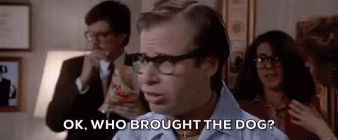  Happy Birthday Rick Moranis! I liked him as Louis in     