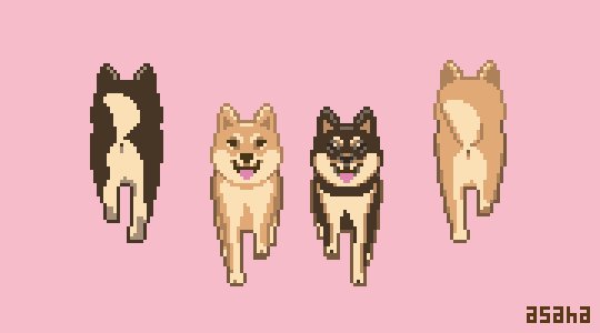 Asaha とことことことことこ 柴犬の日 柴の日 Pixelart ドット絵 T Co Zfaugblnem Twitter