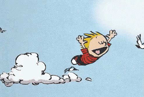 Calvin Flying GIF