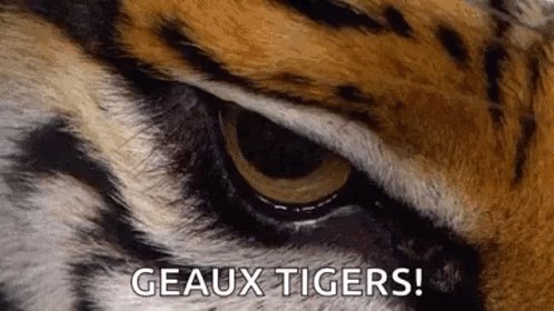 With the 32nd pick in the #NFLDraft2020 the defending Super Bowl Champs @Chiefs select, Clyde Edwards-Helaire RB, LSU https://t.co/n7f2Mj2Qql