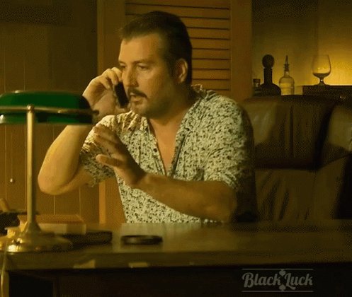 Do You Understand Capiche GIF