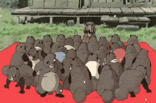 Tanuki GIF