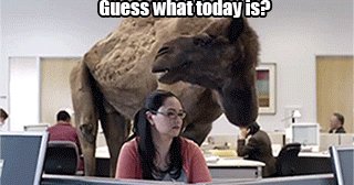 Good morning!!! https://t.co/WtUT4bSUEA<a href="/tag/mvsales"class="tags"><span>#mvsales</span></a><a href="/tag/mvcrush"class="tags"><span>#mvcrush</span></a>