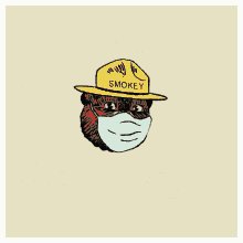 Forest Fires Only You Can Prevent Forest Fires GIF