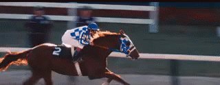 Horse Racing GIF