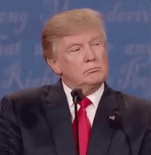 Donald Trump Ugh Head Shake GIF