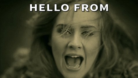 Quarantine made this a real mood, huh? 

P.S. Happy Birthday Adele! 