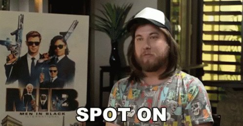 Spot On Got It Right GIF