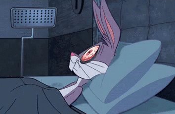 El Conejo No Puede Dormir GIF
