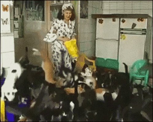 Cat Lady GIF